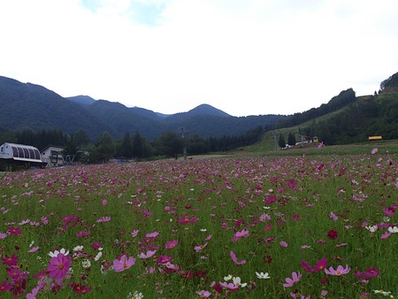 丹生川プチ旅行