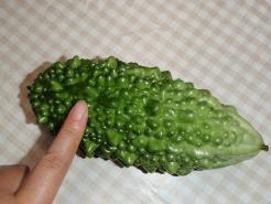 定番！