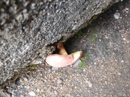 え？