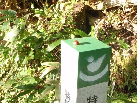 もうすぐ２０万…！