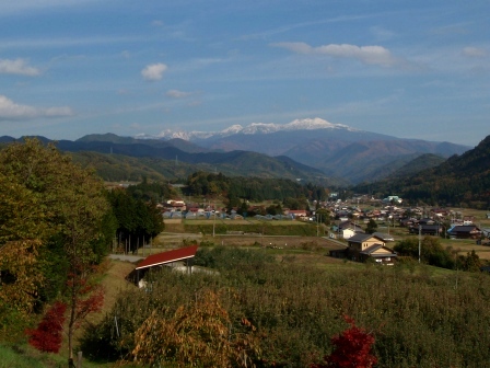 朝日の紅葉
