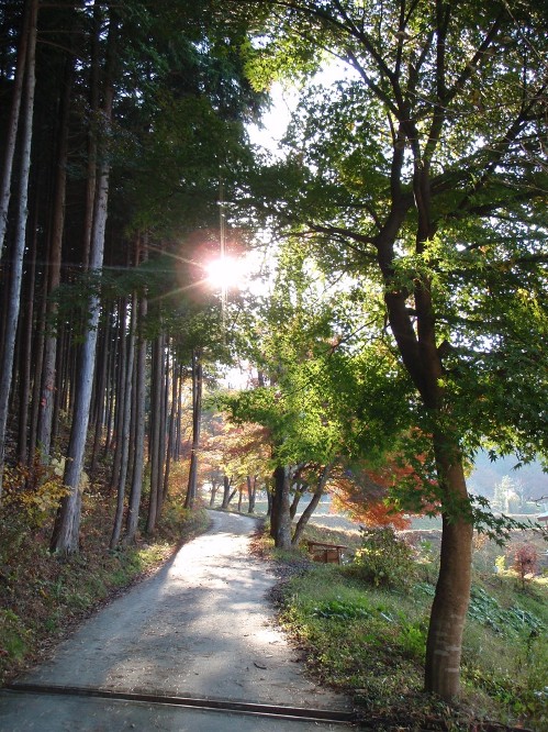 文学散歩道