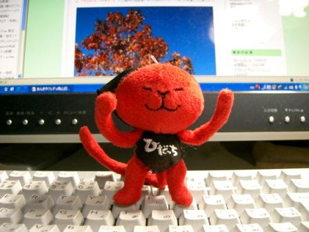 キャンペーン実施中