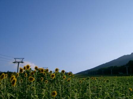 私も行ってきました