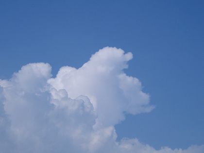 ほわいとべあ