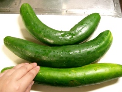 夏限定メニュー