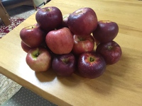 明日は、BAKUBAKU子ども食堂の日です❣ 2023/10/21 19:34:21
