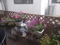 ７月９日(日)は、子ども食堂の日です❣ 2023/07/08 21:59:39