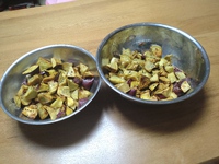 11月26日(日)は、BAKUBAKIU子ども食堂の日です。 2023/11/25 20:56:39