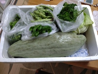 8月28日(日）は　お持ち帰り子ども食堂です❣ 2022/08/27 14:22:43