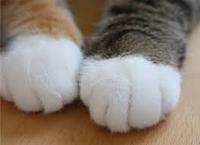 お待たせいたしましたぁ 2016/09/20 06:30:00