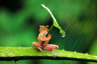 雨の敬老の日 2016/09/23 21:38:11