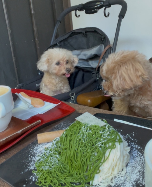 4月28日の記事