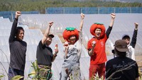 【販売促進】トマト×トマト＝ワクワク販促♪ 2021/04/26 22:07:35