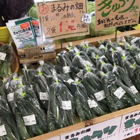 【胡瓜レシピ】大量消費できるレシピ集② 2021/07/16 10:48:25