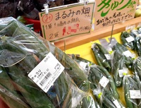 【胡瓜レシピ】大量消費できるレシピ集③ 2021/07/16 20:30:00