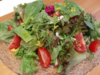 【おウチごはん】豪華サラダと貧乏サラダ♪ 2021/05/17 09:23:32