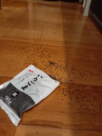 【大失態！】ドヂの連鎖が半端ない（笑） 2021/05/02 13:59:52
