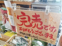 【完売御礼】トマト店長推しの逸品！ 2021/07/26 11:50:48
