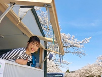 満開の桜の下で春色スムージーを♡ 2018/04/10 21:02:58