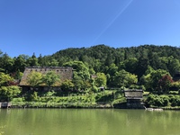 「生み出す」から「育てる」へ 2018/06/18 15:04:34