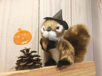 毒々しいBitta！？ハロウィン仕様に変身！ 2017/09/22 16:57:08