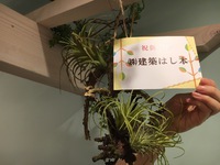 Bittaオープン2日目♪お世話になった方々が...♡ 2017/04/06 20:51:51
