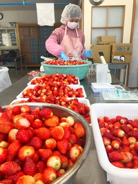 いちご！イチゴ！！苺！！！ 2019/04/13 11:28:58