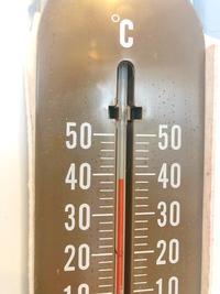 夏のBittaの救世主となるか！？ 2019/06/06 22:04:00