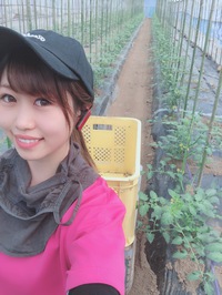 【果樹園の娘の農業ブログ】ちいさな赤ちゃん達♡ 2019/06/27 13:28:45