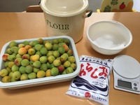 梅干し2017（4kg）