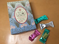 チョコレート八ッ橋