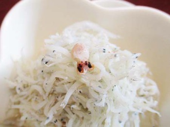 可愛いヤツ　見つけた!! ^^