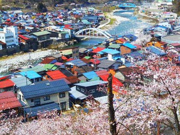 お花見～♡　『神岡城』まで ^^