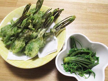 春の味覚『こんてつ』を頂きました～ ^^