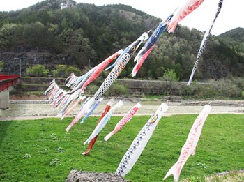 100匹の『鯉のぼり』 ^^