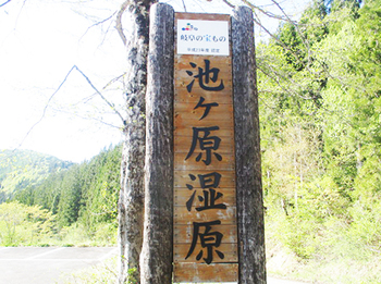 広さにビックリ!!『池ケ原湿原』 ^^