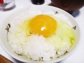 『有精卵』の玉子を頂いたので… ^^