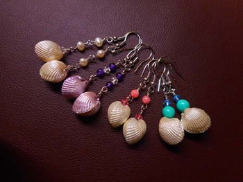 『本物のシェル』のアクセサリー ^^