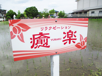 今日は『身体のメンテナンス』 ^^