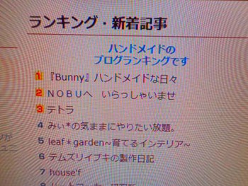 『梅シロップ』仕込みました～ ^^