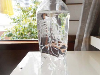 小さな植物の『生命力』　スッゲ～ ^^