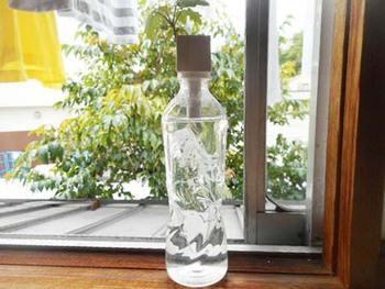 小さな植物の『生命力』　スッゲ～ ^^