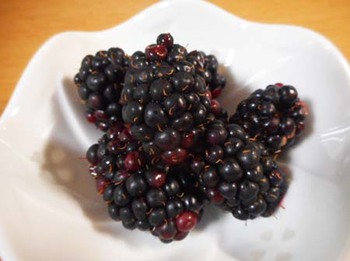 『ブラックベリー』初めて食べました ^^