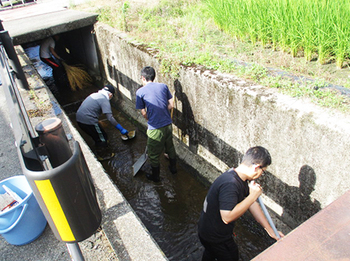 今朝は『町内の用水路掃除』 ^^