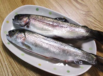 はじめての『釣り』 はたして釣果は? ^^