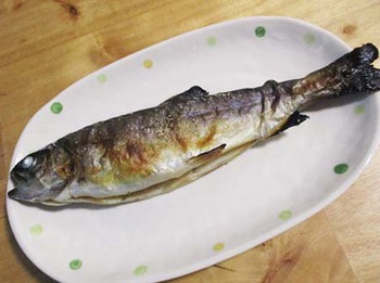 はじめての『釣り』 はたして釣果は? ^^