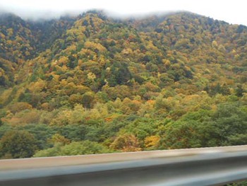『平湯峠の紅葉』始まったみたい ^^