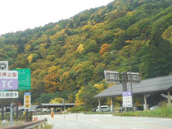 『平湯峠の紅葉』始まったみたい ^^