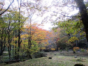 『西ウレ峠の紅葉』 ^^